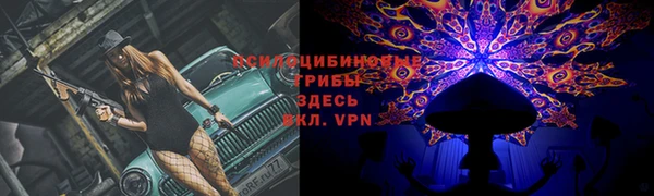 стафф Киреевск
